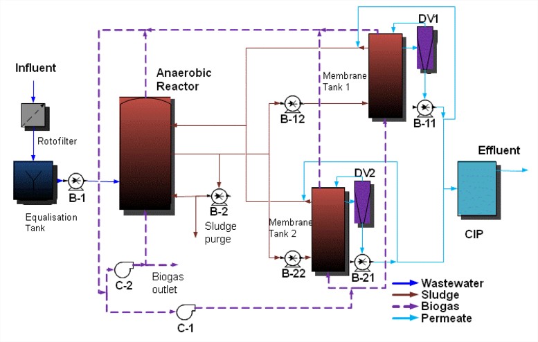 Life Memory diagram