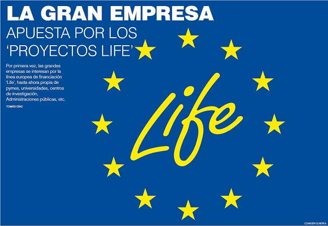 Life flag